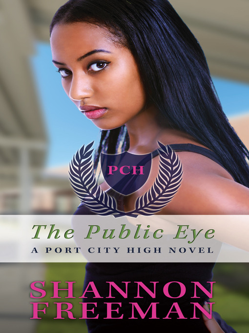 Cover image for The Public Eye